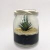 Terrarium "Élégance Succulente"