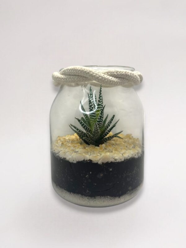 Terrarium "Élégance Succulente"