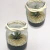 Terrarium "Élégance Succulente"