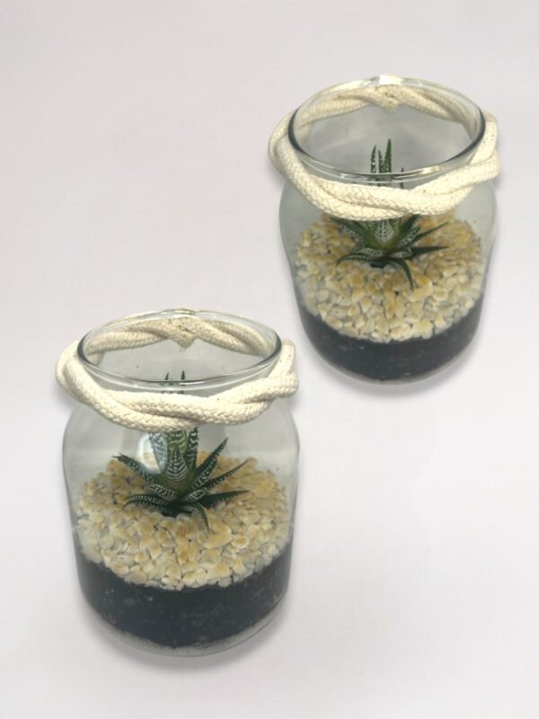 Terrarium "Élégance Succulente"